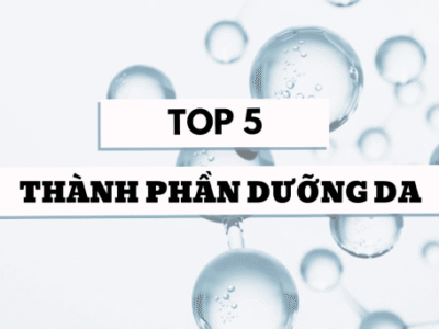 Top 5 Thành Phần Chăm Sóc Da Quen Thuộc